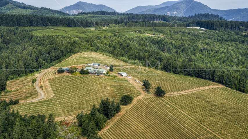 A hilltop covered with grapevine rows around buildings at Phelps Creek Vineyards in Hood River, Oregon Aerial Stock Photo DXP001_016_0005 | Axiom Images