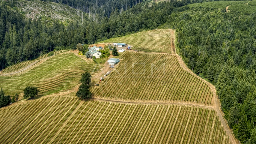 A hilltop covered with rows of grapevines surrounding buildings at Phelps Creek Vineyards in Hood River, Oregon Aerial Stock Photo DXP001_016_0007 | Axiom Images