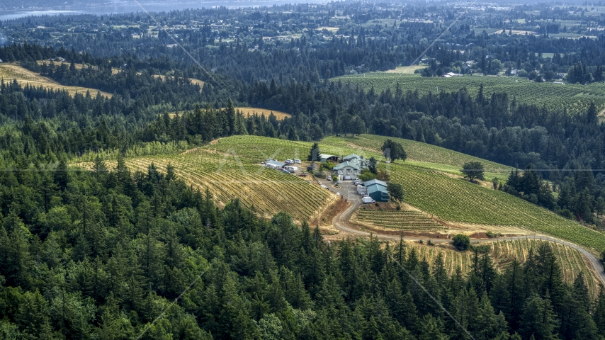 Phelps Creek Vineyards on a hilltop, Hood River, Oregon Aerial Stock Photo DXP001_016_0012 | Axiom Images