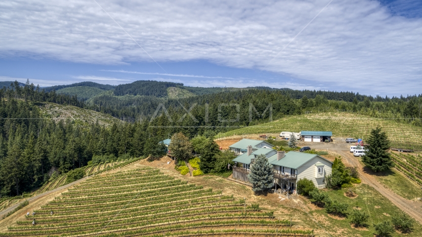 Hilltop buildings and grapevines at Phelps Creek Vineyards in Hood River, Oregon Aerial Stock Photo DXP001_017_0003 | Axiom Images