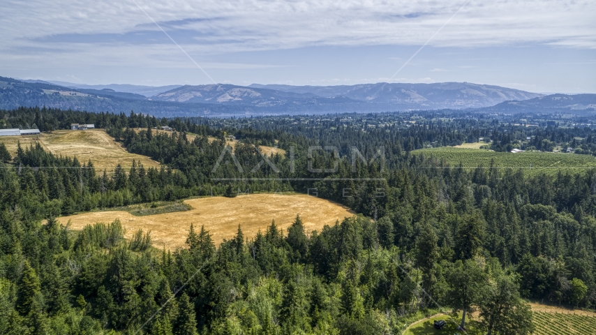 Evergreen trees and brown hills in Hood River, Oregon Aerial Stock Photo DXP001_017_0019 | Axiom Images