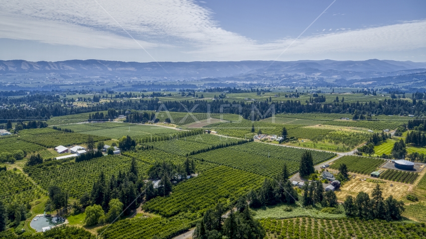 A view of orchards in Hood River, Oregon Aerial Stock Photo DXP001_017_0022 | Axiom Images
