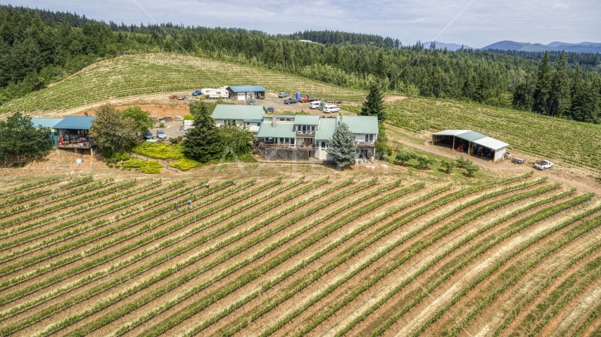 Grapevines around winery buildings on the hilltop at the Phelps Creek Vineyards, Hood River, Oregon Aerial Stock Photo DXP001_017_0023 | Axiom Images