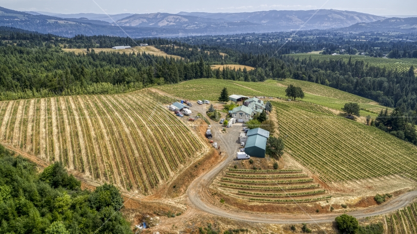 Buildings and hillside grapevines at Phelps Creek Vineyards in Hood River, Oregon Aerial Stock Photo DXP001_017_0024 | Axiom Images