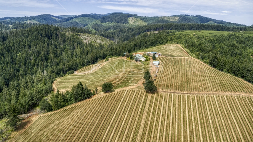 A wide view of hilltop buildings and grapevines at Phelps Creek Vineyards in Hood River, Oregon Aerial Stock Photo DXP001_017_0025 | Axiom Images