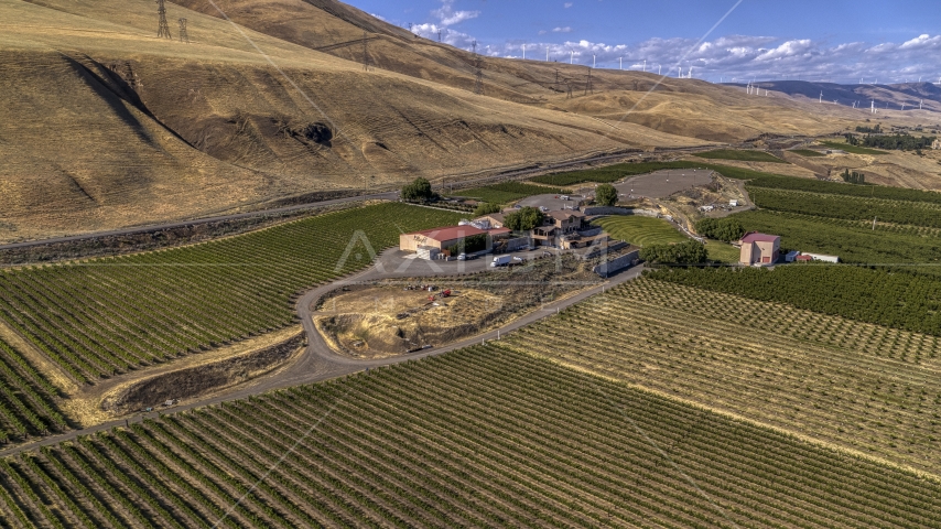 A view of the Maryhill Winery and vineyards in Goldendale, Washington Aerial Stock Photo DXP001_018_0004 | Axiom Images