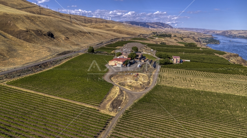 The Maryhill Winery and vineyards with the river in the background in Goldendale, Washington Aerial Stock Photo DXP001_018_0005 | Axiom Images