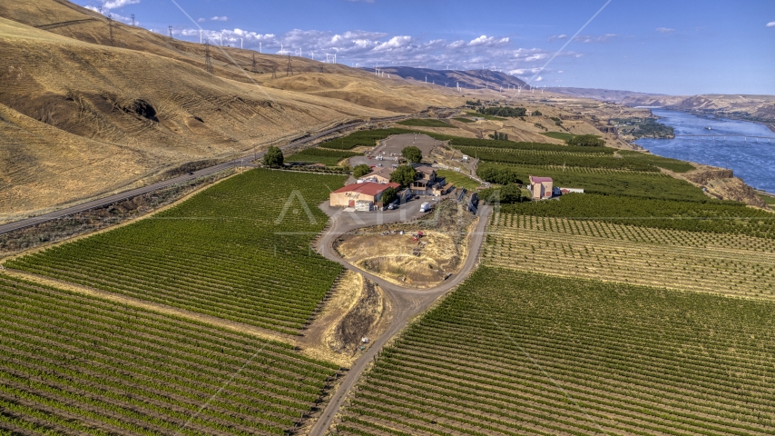 Maryhill Winery and vineyards overlooking the river in Goldendale, Washington Aerial Stock Photo DXP001_018_0006 | Axiom Images