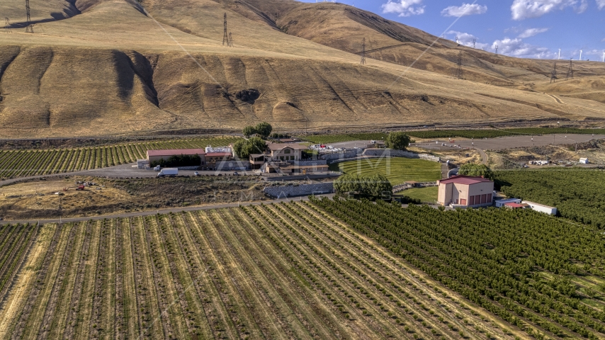Maryhill Winery buildings and vineyards in Goldendale, Washington Aerial Stock Photo DXP001_018_0007 | Axiom Images