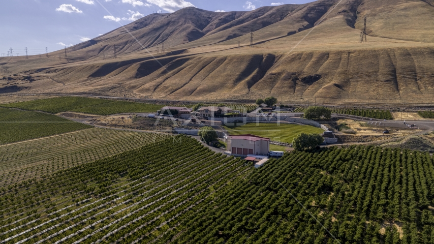 The Maryhill Winery and vineyards near brown hills in Goldendale, Washington Aerial Stock Photo DXP001_018_0008 | Axiom Images