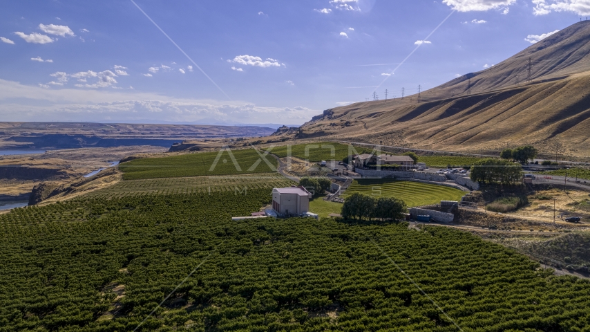 Maryhill Winery seen from grapevines by the amphitheater in Goldendale, Washington Aerial Stock Photo DXP001_018_0018 | Axiom Images