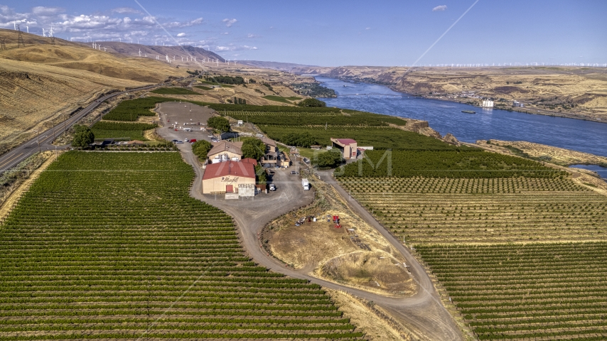 Maryhill Winery and vineyard by the Columbia River in Goldendale, Washington Aerial Stock Photo DXP001_018_0020 | Axiom Images