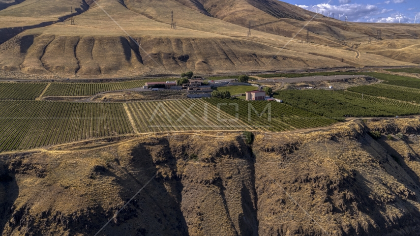 A view of the Maryhill Winery and vineyards from a cliff in Goldendale, Washington Aerial Stock Photo DXP001_018_0021 | Axiom Images