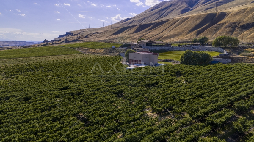 Maryhill Winery and amphitheater beside rows of grapevines in Goldendale, Washington Aerial Stock Photo DXP001_018_0025 | Axiom Images