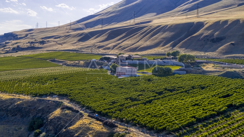The Maryhill Winery, amphitheater, and vineyard in Goldendale, Washington Aerial Stock Photo DXP001_019_0005 | Axiom Images