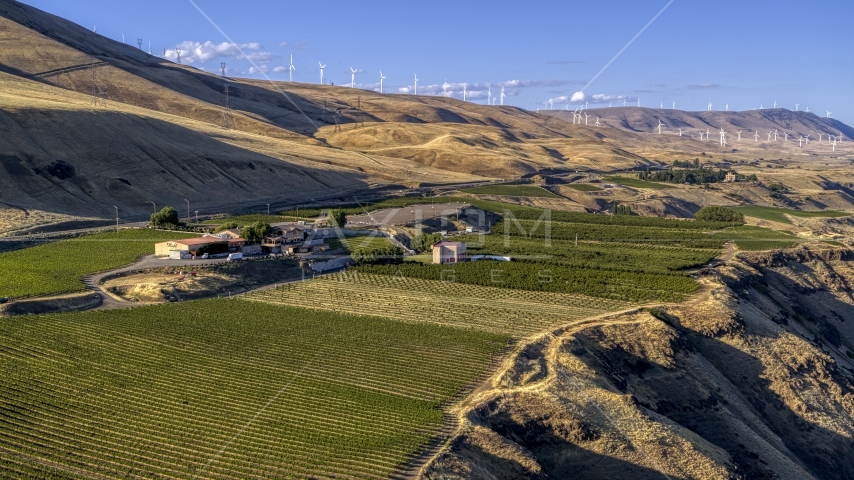 The Maryhill Winery and amphitheater beside the vineyard in Goldendale, Washington Aerial Stock Photo DXP001_019_0012 | Axiom Images