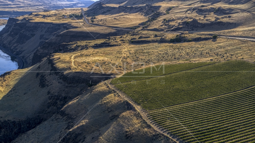 Vineyard between cliffs and Lewis and Clark Highway in Goldendale, Washington Aerial Stock Photo DXP001_019_0017 | Axiom Images