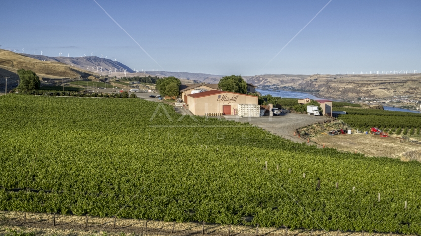 Side of the Maryhill Winery main building seen from grapevines in Goldendale, Washington Aerial Stock Photo DXP001_019_0020 | Axiom Images