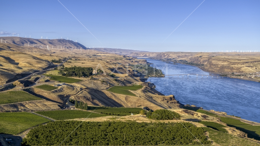 Vineyards overlooking the Columbia River in Goldendale, Washington Aerial Stock Photo DXP001_019_0021 | Axiom Images