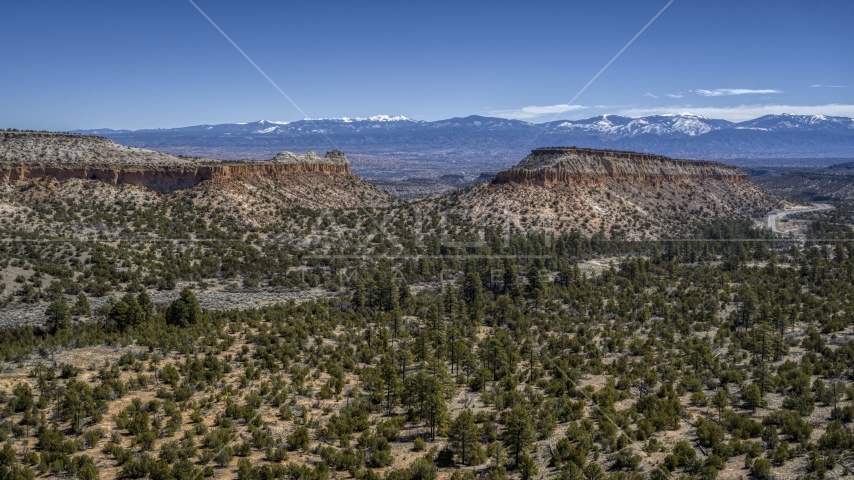 A view of desert mesas and vegetation in New Mexico Aerial Stock Photo DXP002_133_0002 | Axiom Images