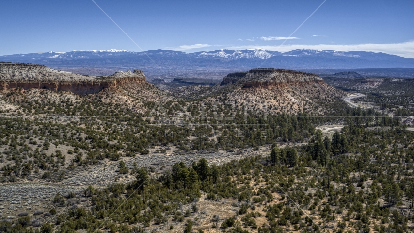 A mesa surrounded by desert plants in New Mexico Aerial Stock Photo DXP002_133_0003 | Axiom Images