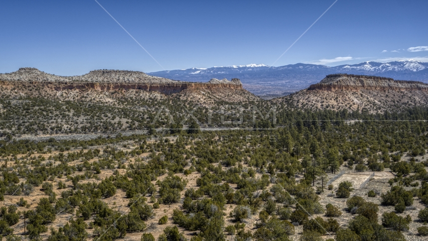 Two desert mesas seen across green vegetation in New Mexico Aerial Stock Photo DXP002_133_0006 | Axiom Images