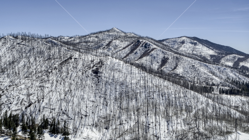 A view of mountain slopes with snow and dead trees, New Mexico Aerial Stock Photo DXP002_134_0013 | Axiom Images