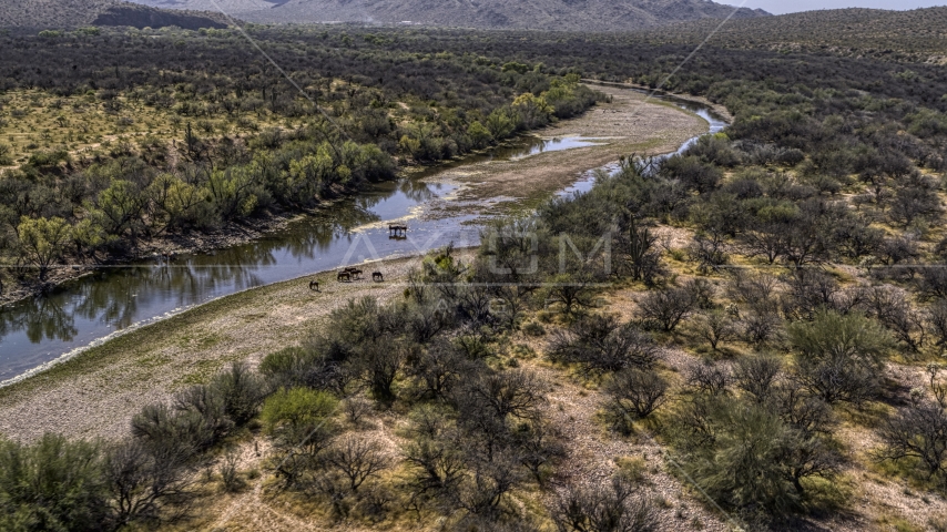 Horses standing beside a shallow desert river Aerial Stock Photo DXP002_141_0005 | Axiom Images