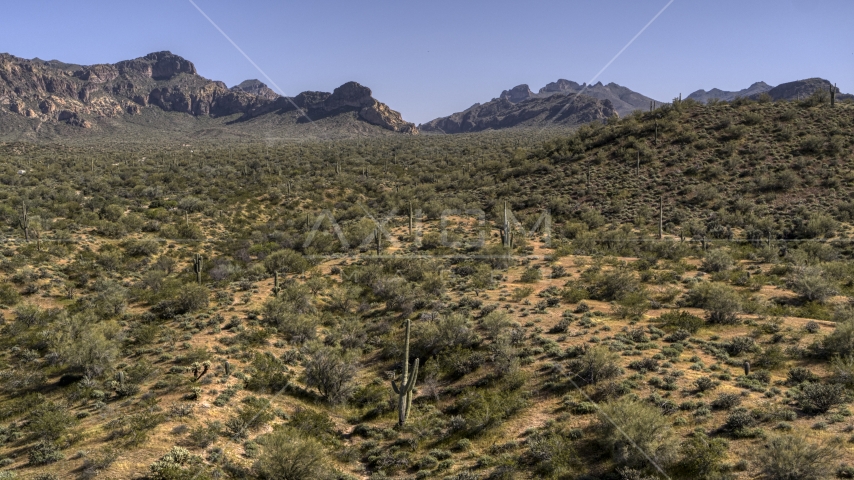 Desert plants and tall cactus with rugged mountains in the distance Aerial Stock Photo DXP002_141_0014 | Axiom Images