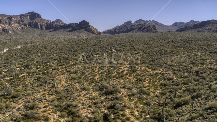 A view of desert plants and tall cactus, rugged mountains in the background Aerial Stock Photo DXP002_141_0015 | Axiom Images