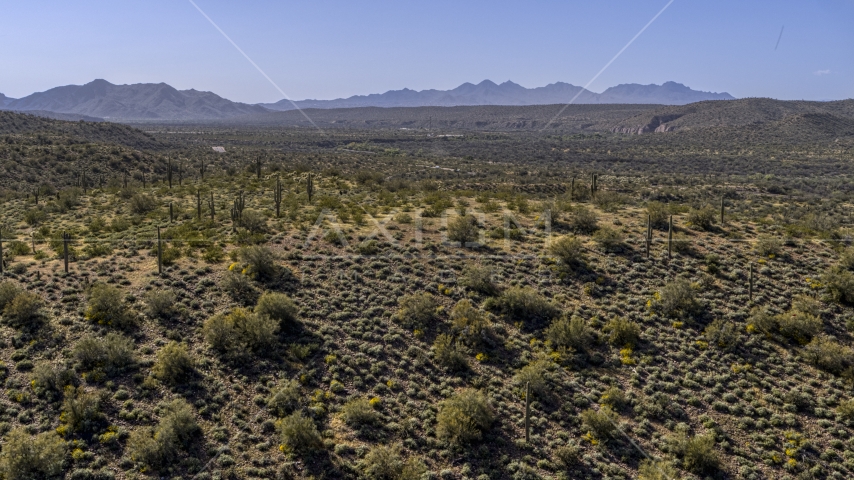 A hill with green plants and cactus, with desert mountains in the distance Aerial Stock Photo DXP002_141_0016 | Axiom Images