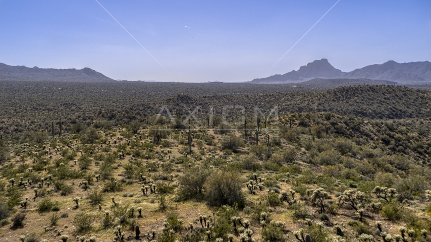 Desert plants and tall cactus on arid hills Aerial Stock Photo DXP002_141_0017 | Axiom Images