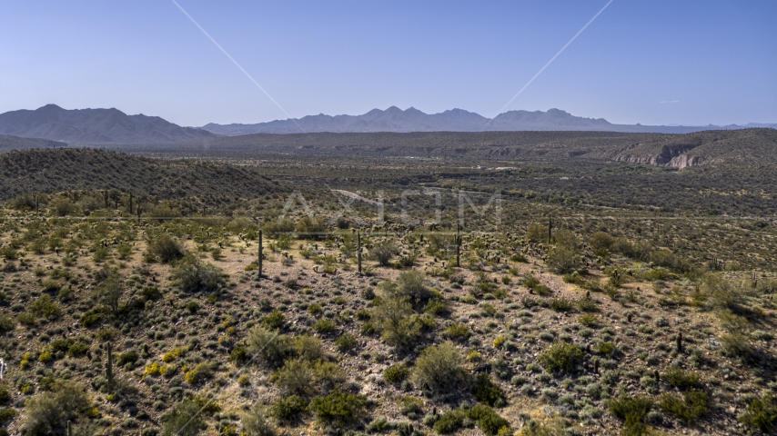 A hill with green plants and cactus, and desert mountains in the background Aerial Stock Photo DXP002_141_0020 | Axiom Images