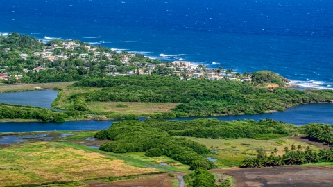 AX101_032.0000227F - Aerial stock photo of Resort town along the blue Caribbean coastal waters, Dorado, Puerto Rico