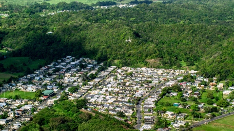 AX101_035.0000000F - Aerial stock photo of Residential neighborhoods and forest, Dorado, Puerto Rico