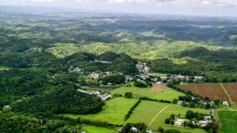 AX101_037.0000000F - Aerial stock photo of Rural homes and farmland, Vega Alta, Puerto Rico