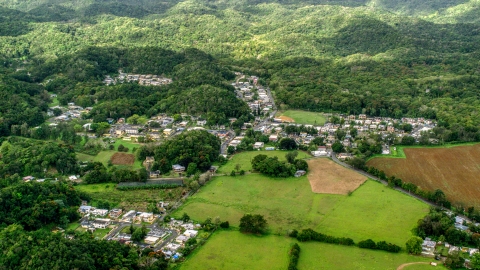 AX101_037.0000201F - Aerial stock photo of Rural homes and farm fields in Vega Alta, Puerto Rico