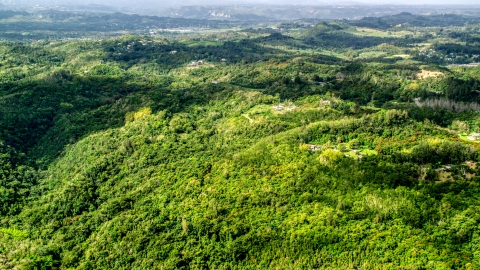 AX101_040.0000217F - Aerial stock photo of Tree covered hills with rural homes in Vega Baja, Puerto Rico