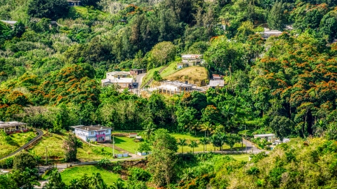 AX101_042.0000000F - Aerial stock photo of Tree covered hills with rural homes, Vega Baja, Puerto Rico 