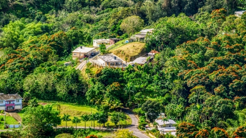 AX101_042.0000199F - Aerial stock photo of Rural homes by tree-covered hills in Vega Baja, Puerto Rico 