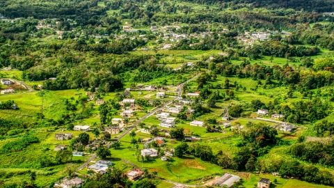 AX101_043.0000000F - Aerial stock photo of Rural neighborhood with lush green grass and trees, Vega Baja, Puerto Rico 