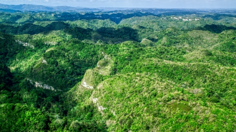 AX101_049.0000000F - Aerial stock photo of Tree covered mountains and jungle, Karst Forest, Puerto Rico