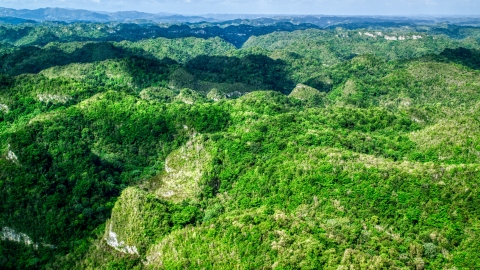 AX101_049.0000149F - Aerial stock photo of Mountains covered in jungle in the Karst Forest, Puerto Rico