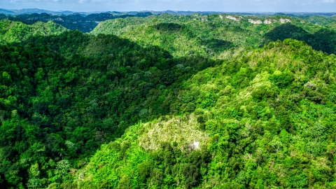 AX101_052.0000000F - Aerial stock photo of A view of limestone karst mountains covered by jungle, Karst Forest, Puerto Rico 
