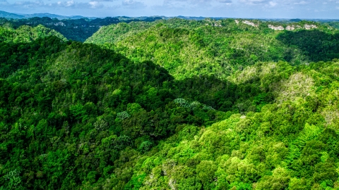 AX101_052.0000197F - Aerial stock photo of Mountains and jungle of the Karst Forest, Puerto Rico 