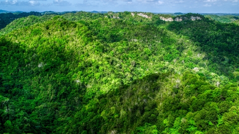 AX101_053.0000150F - Aerial stock photo of Mountains and jungle in the Karst Forest, Puerto Rico
