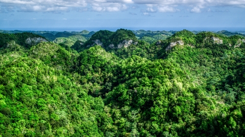 AX101_054.0000284F - Aerial stock photo of Llush jungle and mountains, Karst Forest, Puerto Rico