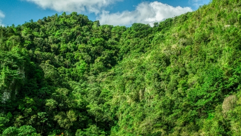 AX101_058.0000069F - Aerial stock photo of Mountain covered in jungle in the Karst Forest, Puerto Rico 