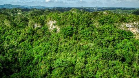AX101_062.0000303F - Aerial stock photo of Rocky slope of lush green forests and mountains, Karst Forest, Puerto Rico 