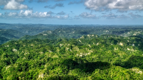 AX101_068.0000000F - Aerial stock photo of Limestone cliffs and lush green jungle, Karst Forest, Puerto Rico 
